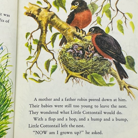 Little Cottontail Little Golden Book Carl Memling vintage Childrens Disney Book - Picture 9 of 11